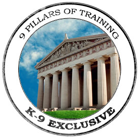 k9-parthenon3