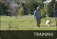 Electronic Dog Collar Training | K9 Containmydog Electric ...