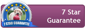 7-star-guarantee