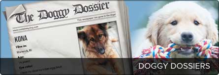 doggy dossiers