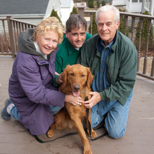 electric dog fence mansfield ma