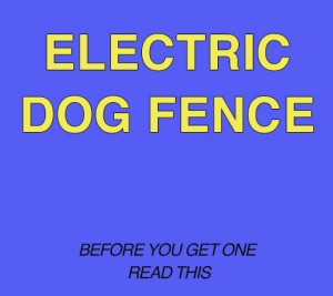 ELECTRIC DOG FENCE